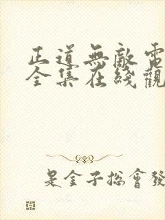 正道无敌电视剧全集在线观看免费