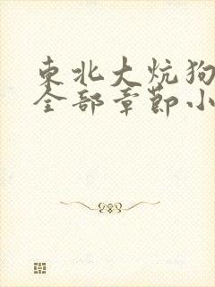 东北大炕狗儿娘全部章节小说