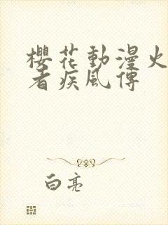 樱花动漫火影忍者疾风传