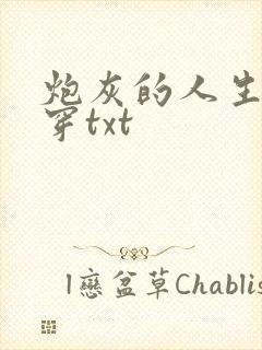 炮灰的人生2快穿txt封面