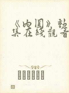 《内圆》动漫全集在线观看封面