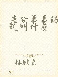 老公弟弟的老婆我叫什么