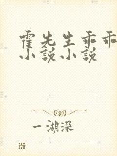 霍先生乖乖宠我小说小说