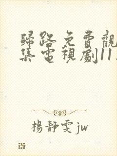 归路免费观看全集电视剧11集