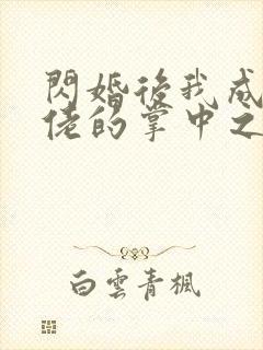 闪婚后我成了大佬的掌中之物无删减