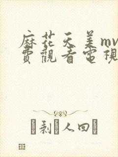 麻花天美mv免费观看电视剧视频全集