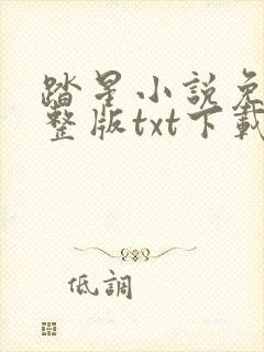 踏星小说免费完整版txt下载封面