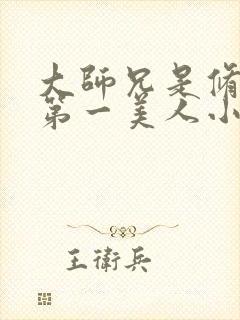 大师兄是修真界第一美人小说封面