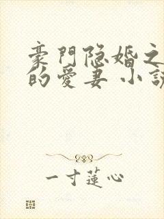 豪门隐婚之闪来的爱妻 小说