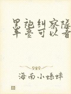 黑袍纠察队哪个平台可以看