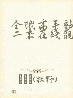 全职高手动漫第二季在线观看免费封面