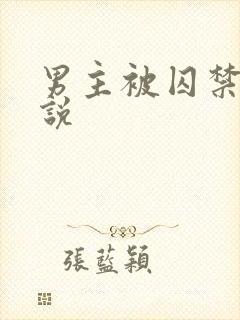 男主被囚禁的小说