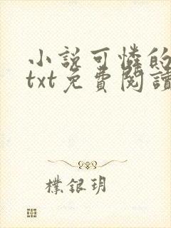 小说可怜的晓絮txt免费阅读