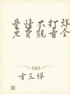 爱情不打烊短剧免费观看全集