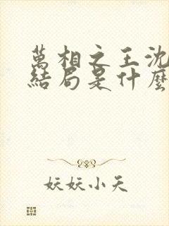 万相之王沈金霄结局是什么封面