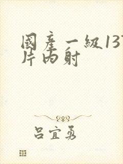 国产一级137片内射