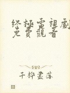 终极电视剧全集免费观看