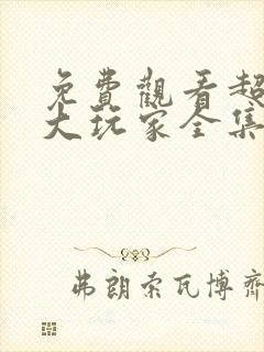 免费观看超时空大玩家全集