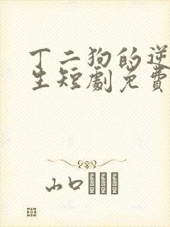 丁二狗的逆袭人生短剧免费看