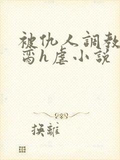 被仇人调教成禁脔h虐小说封面