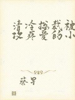 清冷总裁被丑老攻疼爱的小说