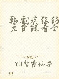 韩剧疯狂的爱情免费观看全集