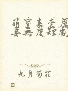 萌宝来袭厉总宠妻无度短剧免费看