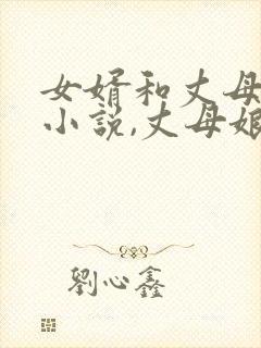 女婿和丈母娘的小说,丈母娘是双胞胎的