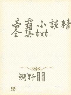 帝霸小说精校版全集txt封面