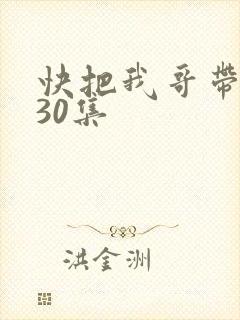 快把我哥带走全30集