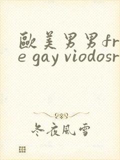 欧美男男free gay viodosroom封面