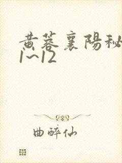 黄蓉襄阳秘史续1~12