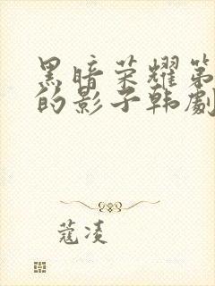 黑暗荣耀第二季的影子韩剧免费观看封面