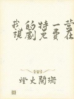 我的特一营 电视剧免费在线观看