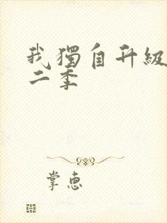 我独自升级动漫二季