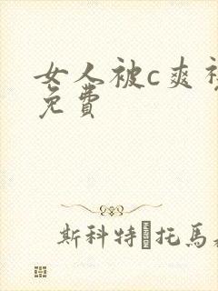 女人被c爽视频免费