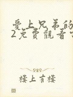 爱上兄弟的小妈2免费观看电视剧封面