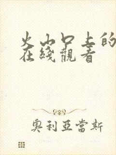 火山口上的2人在线观看封面