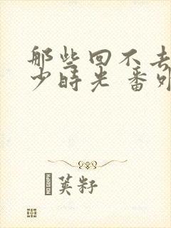 那些回不去的年少时光 番外