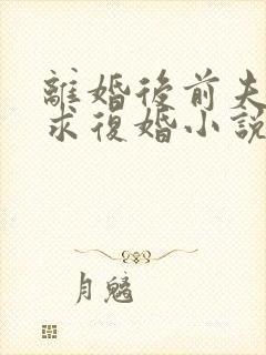 离婚后前夫哭着求复婚小说在线收听