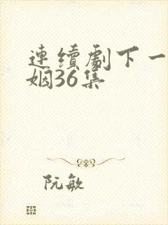 连续剧下一站婚姻36集