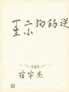 丁二狗的逆袭人生小