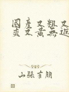 国产又粗又猛又爽又黄无遮挡封面