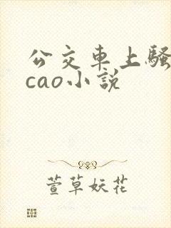 公交车上骚货挨cao小说