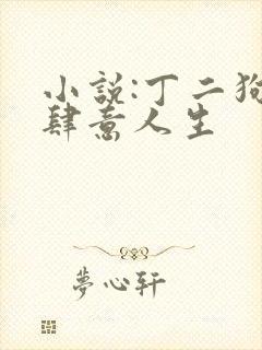 小说:丁二狗的肆意人生