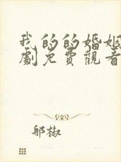 我的的婚姻电视剧免费观看全集高清