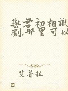 与君初相识电视剧,哪里可以看到?