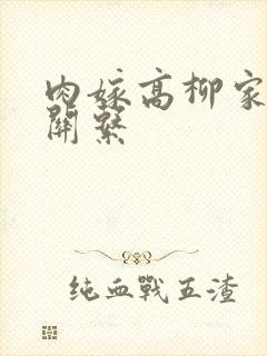 肉嫁高柳家人物关系封面