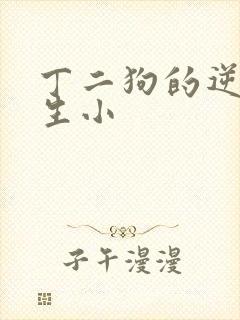 丁二狗的逆袭人生小