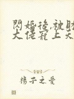 闪婚后,被财阀大佬宠上天阅读全文全文